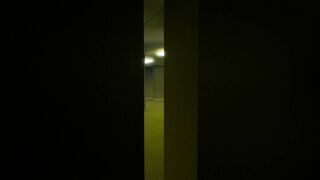 Скриншот 5 к игре Backrooms Versus