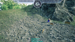 Скриншот 6 к игре Predatory Islands