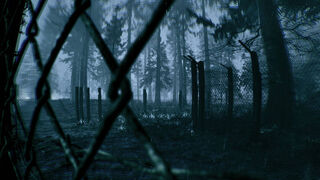 Скриншот 5 к игре Haunted Memories: The Return