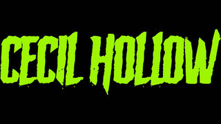 Скриншот 7 к игре Cecil Hollow