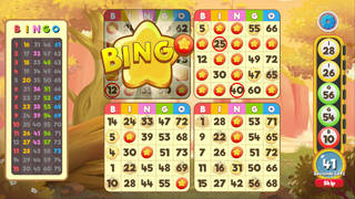 Bingo Pets - Save the Pets