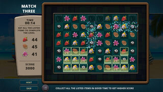 Скриншот 5 к игре Vacation Paradise: Florida Collector's Edition