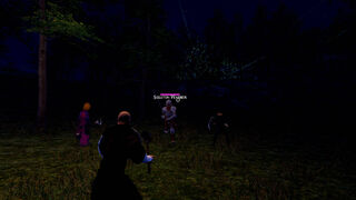 Скриншот 7 к игре Medieval Darkness