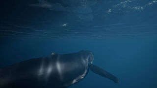 Скриншот 5 к игре Whale Fall