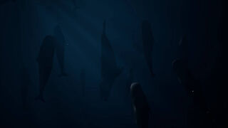 Скриншот 8 к игре Whale Fall