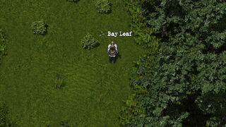 Скриншот 5 к игре Lost Tenet