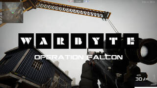 Warbyte: Operation Falcon