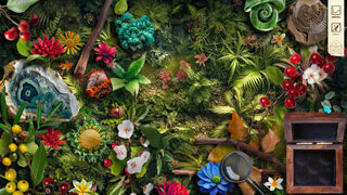 Скриншот 5 к игре Twistingo: Turtle Bay Collector's Edition