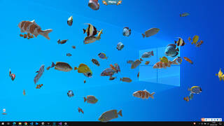 Fish on the desktop