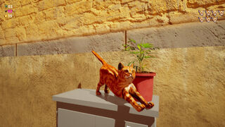 Скриншот 5 к игре Catniptic