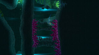 Скриншот 5 к игре Bahamut and the Waqwaq Tree