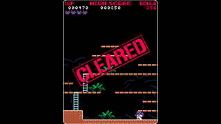 Скриншот 5 к игре Super Spy Raccoon