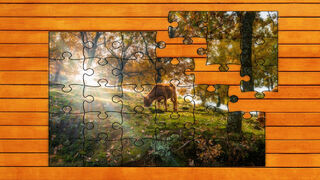 Скриншот 8 к игре Golden Leaf Jigsaw Puzzles