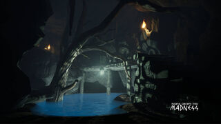 Скриншот 5 к игре Noah's Descent into Madness