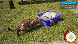 Скриншот 6 к игре Cat Life Simulator