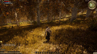 Свежие геймплейные скриншоты MMORPG The Quinfall в высоком разрешении