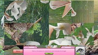 Скриншот 6 к игре I Love Finding Wild Friends