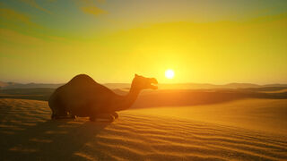 Скриншот 8 к игре Scorching Desert