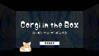 Corgi in the Box