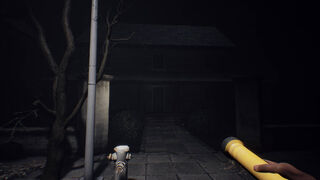 Скриншот 8 к игре Befriended Curse