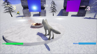Скриншот 7 к игре White Wolf - Treasure Hunter 2