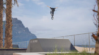 Скриншот 8 к игре BMX Bastards