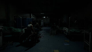 Скриншот 8 к игре The Hospital of Fear