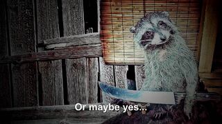 Скриншот 8 к игре Quiz or Die: The Haunted Cabin