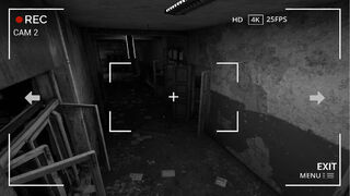Скриншот 5 к игре Invisible Fear