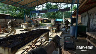 Скриншот 5 к игре Gray Zone Warfare