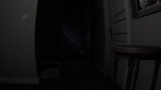 Скриншот 7 к игре Chaperone