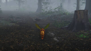 Giant Hornet