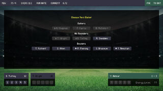 Скриншот 5 к игре Click Cricket