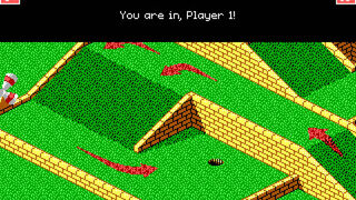 Скриншот 6 к игре Zany Golf