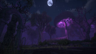 Скриншот 7 к игре Umbra: The Last Summoner