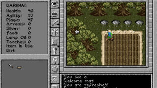 Скриншот 6 к игре Prophecy of the Shadow