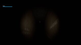 Скриншот 6 к игре Veranoia: Nightmare of Case 37