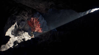 Скриншот 5 к игре Heat Death: Survival Train