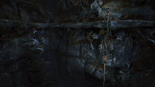 Скриншот 8 к игре Brothers: A Tale of Two Sons Remake