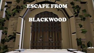 Скриншот 6 к игре Escape from Blackwood