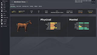 Horse Racing Manager