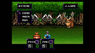 Скриншот 5 к игре Phantasy Series Reference Opus