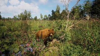 Скриншот 5 к игре Симулятор Русской Души