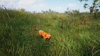 Скриншот 7 к игре Симулятор Русской Души
