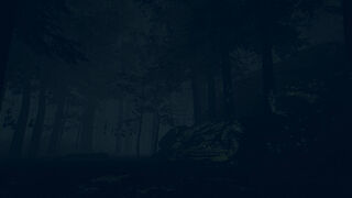 Скриншот 5 к игре The Children of The Woods - Lost Tape