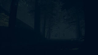 Скриншот 6 к игре The Children of The Woods - Lost Tape