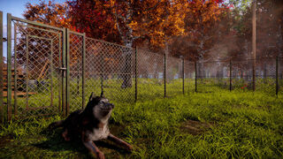 Скриншот 6 к игре Animal Shelter 2