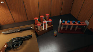 Скриншот 5 к игре Wolf Peak: The Case of Ruth Choi