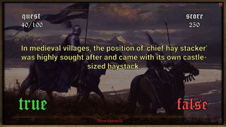 Скриншот 6 к игре Medieval Questionnaire