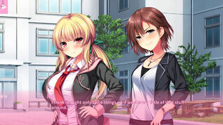 Скриншот 5 к игре Real Anime Situation! 2